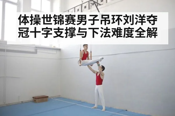 体操世锦赛男子吊环刘洋夺冠十字支撑与下法难度全解
